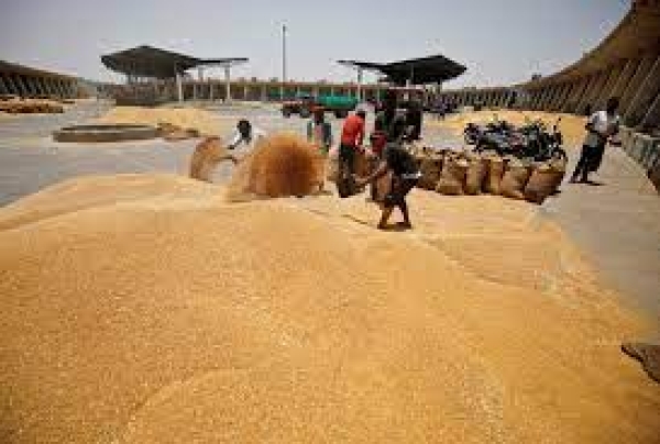 wheat export ban 